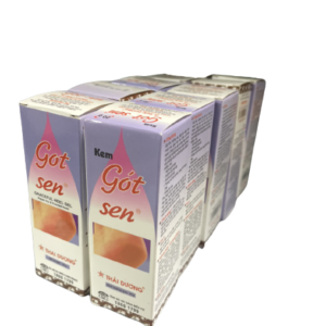 Gót sen thái dương (lốc/10tube/20gr)