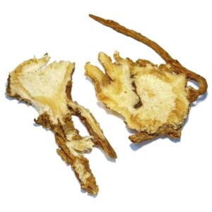 Đương quy (Toàn quy)