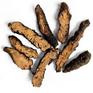 Hương phụ (tứ chế)