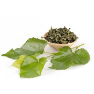 Lá dâu (Tang diệp)