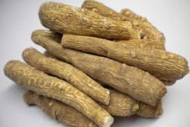 Alternative view of Bạch chỉ